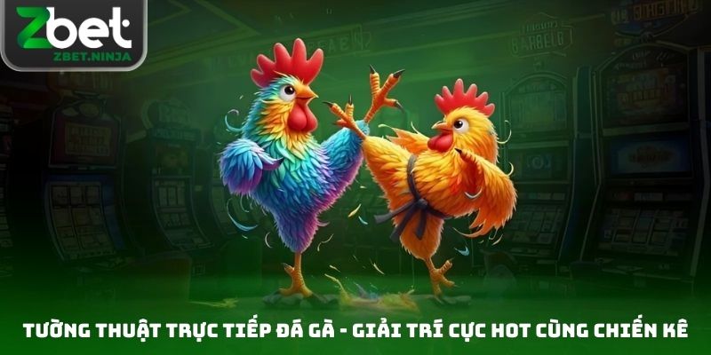 Tường Thuật Trực Tiếp Đá Gà - Giải Trí Cực Hot Cùng Chiến Kê